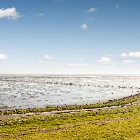 Pj Manosvej Romo Iv * Romo