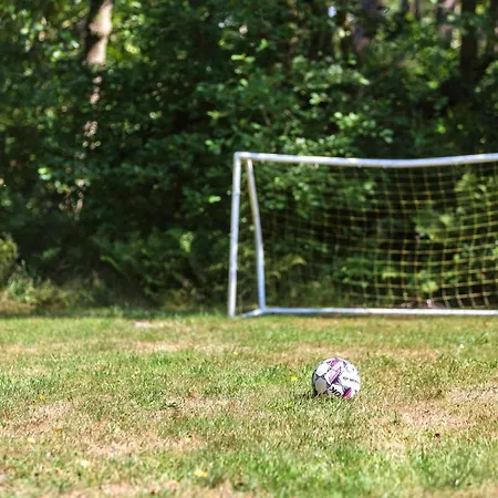 Pj Manosvej Romo Iv Romo